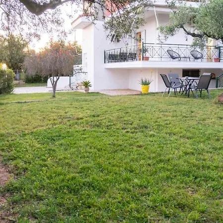 Olive Harmony House *