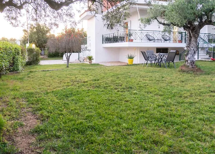 Olive Harmony House *